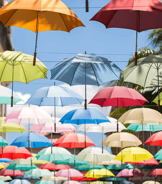 An array of multi coloured umbrella's to signify the topic of this article: making in-house team diverse.